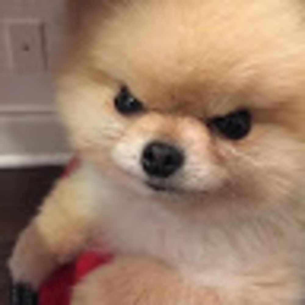 Meet your Posher, Katara